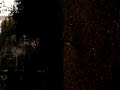 MOV01297