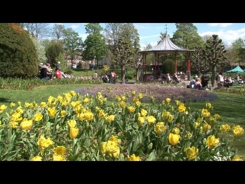 See video