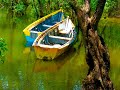 EL SALVADOR biene ra