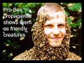 Bees do not exist