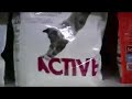 quick video shot in an animal shop