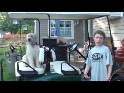 how to drive a golf cart