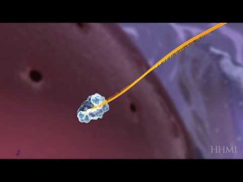 how to reverse a vector