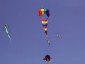 flying-penguin-and-panda-kite-ocean-shores-wa-2007.html