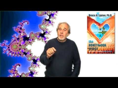 The Honeymoon Effect - The Science of Creating Heaven on Earth