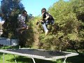Stunts - Dangerous Fun
