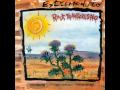 EXTREMODURO, DECIDI, ROCK TRANSGRESIVO