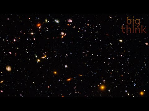 E.O. Wilson: Aliens Are Out There and They Probably Look Like This