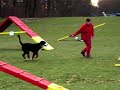 Cabers final round at Dundee