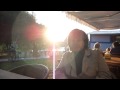 sunny evening. HD video