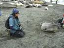 ANTARCTICA PART 3