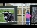 Oregon Flock and Fiber 2011