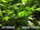 SOURCE: EarthShock by Jugular Filmes (demo)