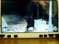 Tenchu (PSP) - Murderer Shinogi Gameplay