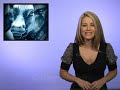 Quality Stocks Daily Video 9/26/2008