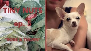 TINY NUTS | Ep. 5 | 