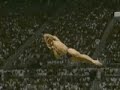 Perfect Diving Perfect Diving