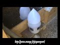 Visite de mes Pigeonniers