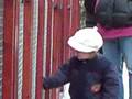 videos de Ava at the cattery