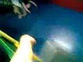 Drop slide me and my emma.3gp Drop slide me and my emma.3gp