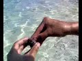 09 Destination:Cebu -  Pandanon Island, Bohol