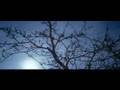 Mount Eerie - No Flashlight