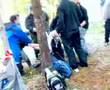 WRC-SWEDEN-2008-FIGH