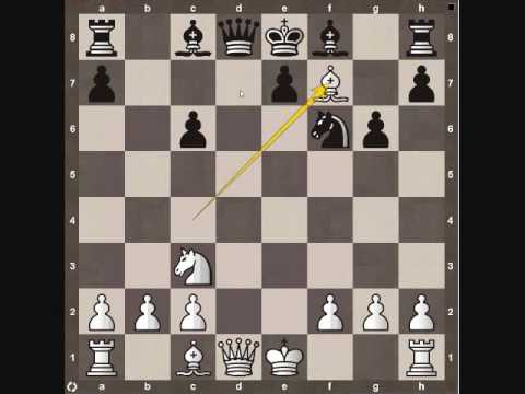 chess tactics chess tactics