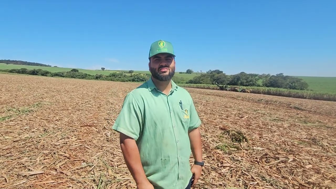 Eficiência operacional orienta colheita e plantio de cana na São Jorge Agronegócio