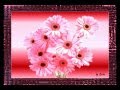 Entrelaces entre Poesias e Flores apresenta  uma declama��o de poema e