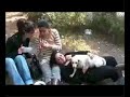 eczacipiknikcicekli.html