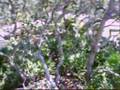 11 Beachside Drive, Palm Coast FL