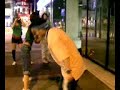 -da-dancehall-nightvol22-its-all-dancing.html
