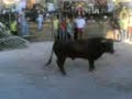 Capeia FOIOS