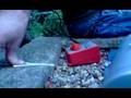 model train in the garden