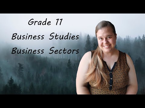 Business Sectors Grade 11 | Business Studies | Term 1