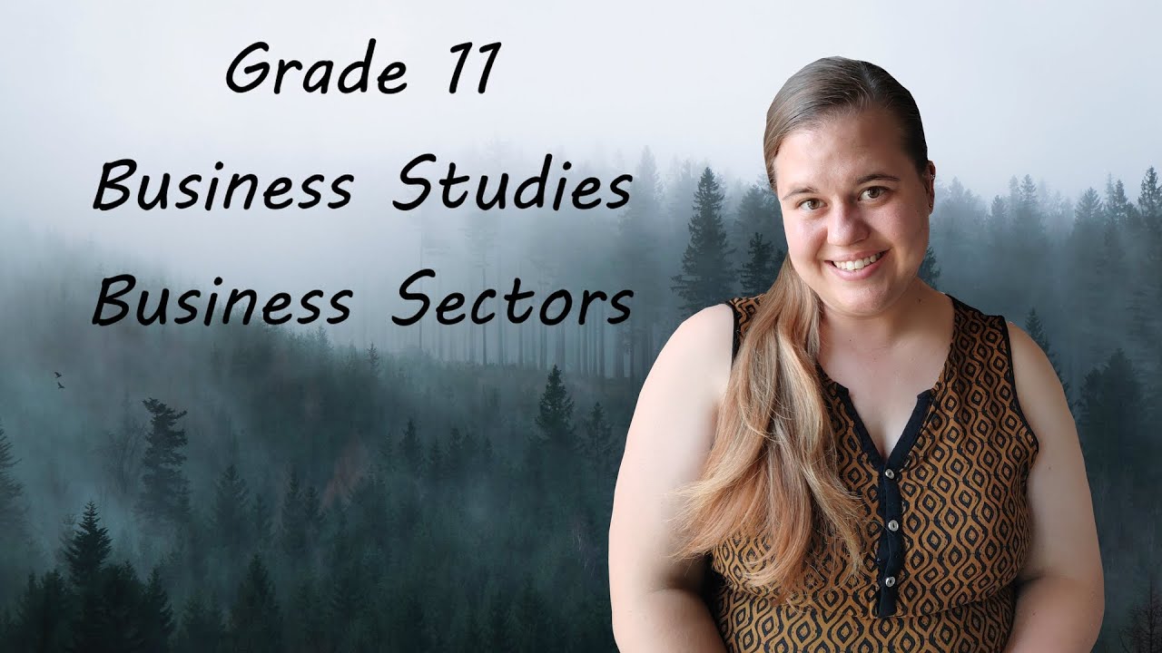 Business Sectors Grade 11 | Business Studies | Term 1