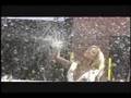 Cindy Car Wash