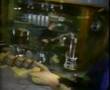 rush limelight clip