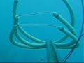 Freediving & Spearfishing - May 2007