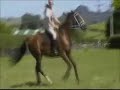 S C O O B Y jumping. plz watch till the end we do 2 big jumps :D
