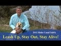 Leash Up, Stay Out, Stay Alive! Leash Up, Stay Out, Stay Alive!