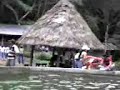BIODIVERSIDAD 11 BIODIVERSIDAD 11