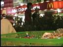 UrchinSmall.wmv