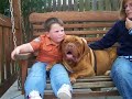 Bigger dogs at Many Tears Rescue looking for homes
