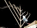 Így hanukáznak a zsidók Budapesten (1.rész)