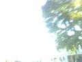 mococa plaza