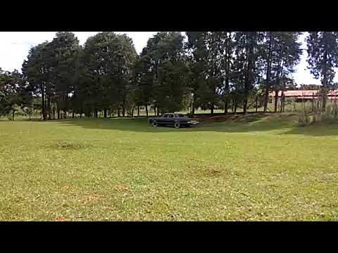 Visualizar Vídeo Landau Andando