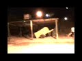 luan cobrador de faltas