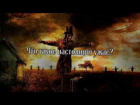 video-show